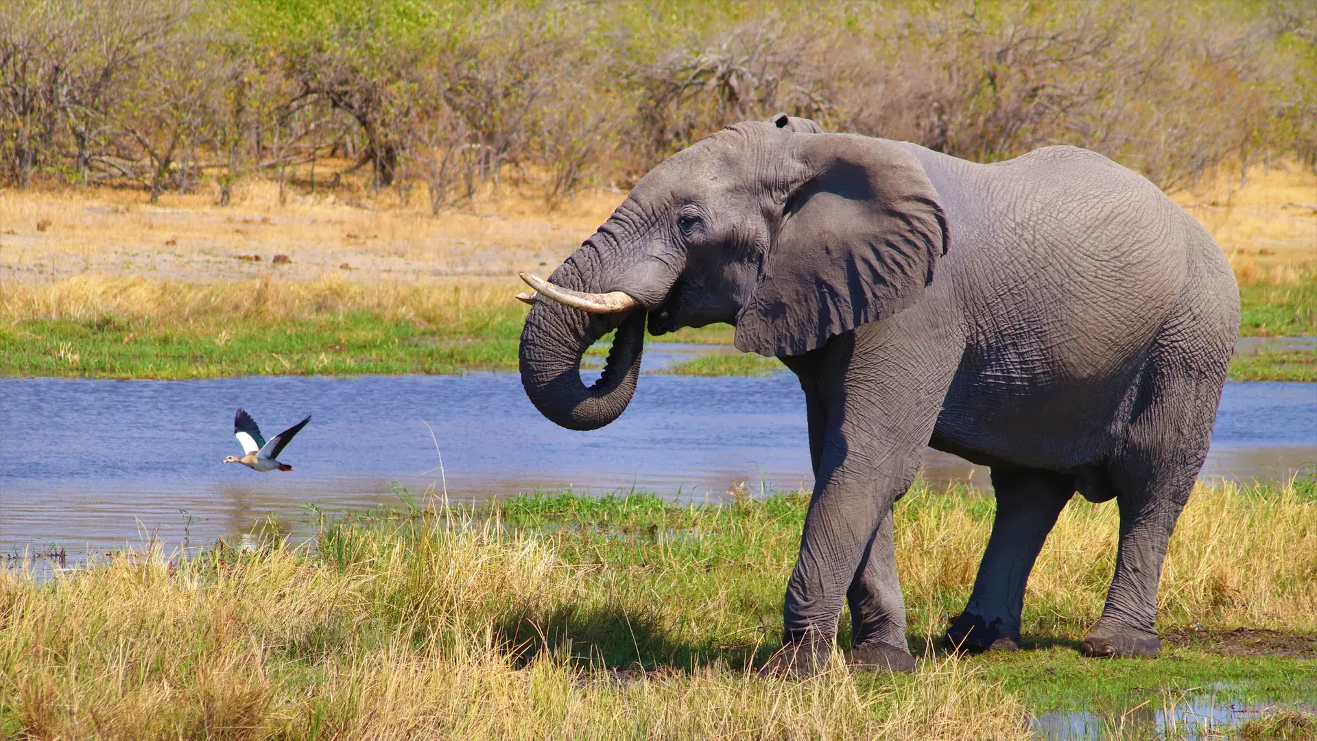 Botswana