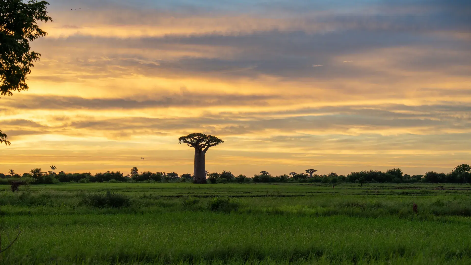 Madagaskar