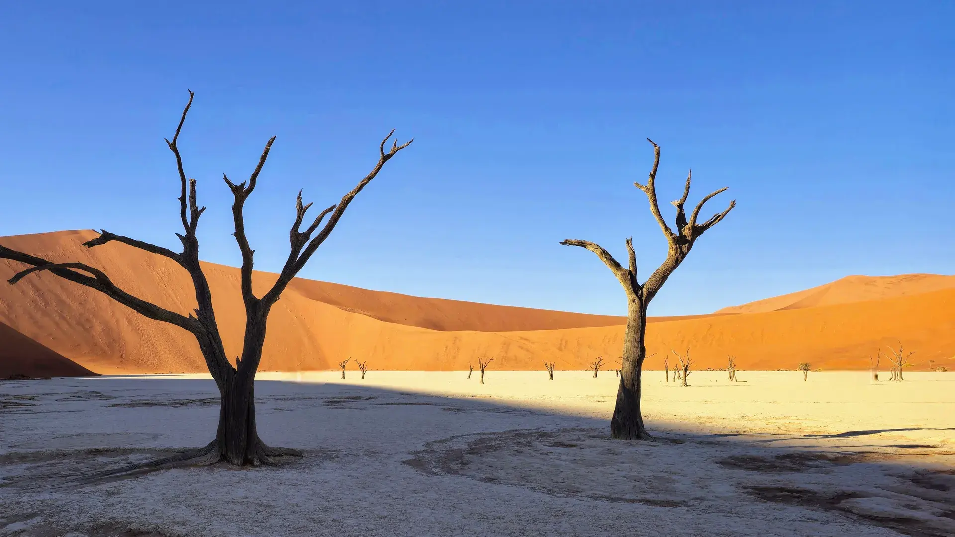 Namibia