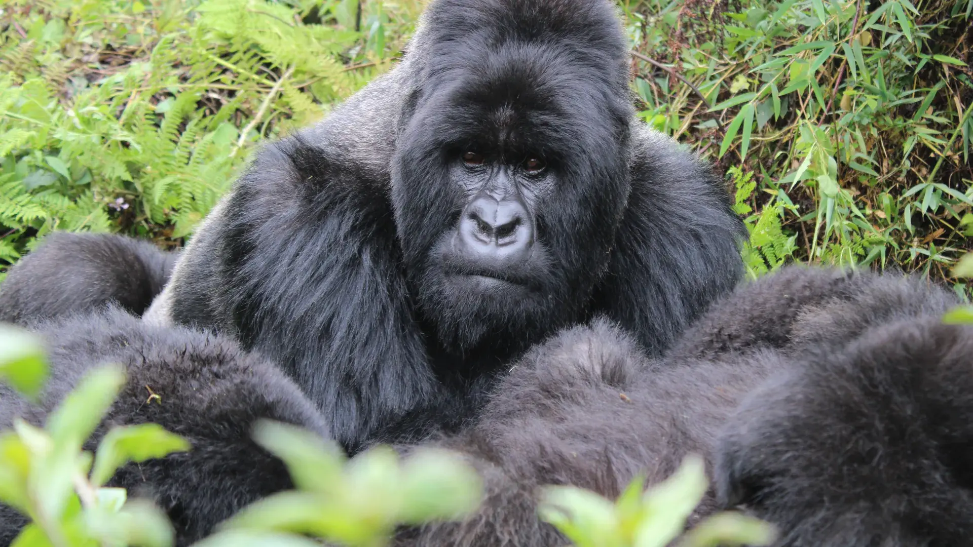 Rwanda